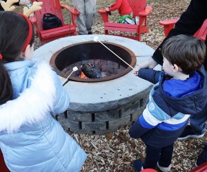 Visiting Santa's Christmas Tree Farm: Roasting marshmallows over the fire