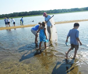 Get ready for an interactive, educational adventure with the Atlantis Explorer in RIverhead.  Photo courtesy of the Long Island Aquarium