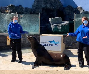 Trainers with the a Sea Lion at the Long Island Aquarium What's open Now Long Island