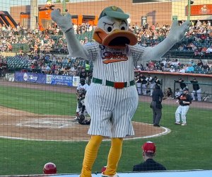 QuackerJack brings tons of fun and entertainment to the crowd at a Long Island Ducks game. 