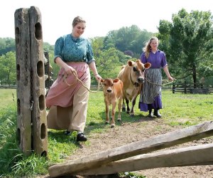 Visit the happy, free-range happy animals at Historic Longstreet Farm.