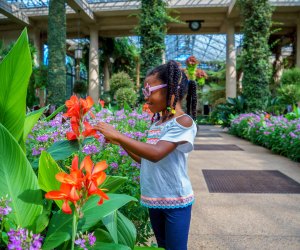 Longwood Gardens is worth a stop during any trip to Philly. Photo  by J. Fusco