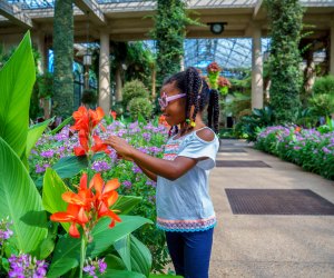 Enjoy an outdoor outing with a trip to Longwood Gardens. Photo by J. Fusco for Visit Philadelphia