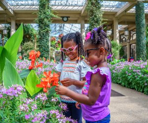 Longwood Gardens: Pennsylvania Bucket List: 100 Things To Do With Kids in PA