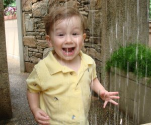 Photo of Longwood Garden's Indoor Children's Garden by the author