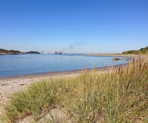 7 Hidden Gem Beaches for Families near Boston: Lovells Island