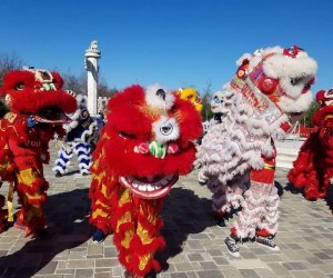 Lion dancers will perform at Lucky Land to celebrate the Lunar New Year, photo courtesy of Lucky Land Cultural Center, Facebook