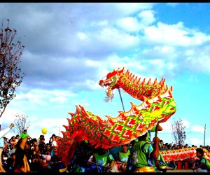 chinese new year houston tx