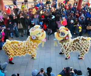 Lunar New Year at the Queens Botanical Garden 25 Free Things To Do in NYC This Winter
