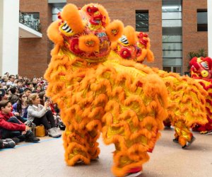Lunar New Year celebrations take to the streets of Boston this February! Lunar New Year Festival event photo courtesy of the Peabody Essex Museum