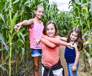 Corn Mazes in Connecticut are great family fun on a fall day! Photo courtesy of Lyman Orchards