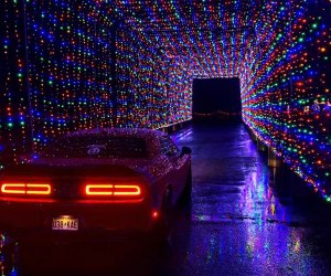 Car drives through the Tunnel fo Lights at the Magic of Lights Drive-thru