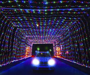 Holiday lights drive-thrus near NYC: Magic of Lights