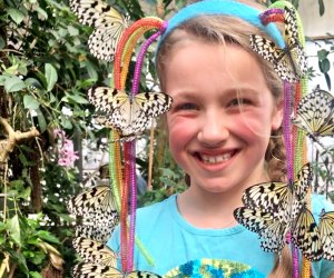 Butterflies are close enough to touch in Deerfield at the Magic Wings Butterfly Conservatory