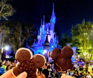 Orlando Family Travel Guide