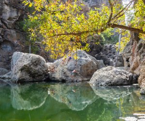 Malibu with kids: rock pool at Malibu Creek State Park