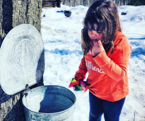 Look forward to a taste of fresh maple syrup later this winter. 