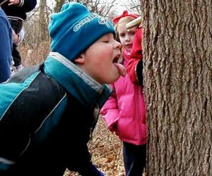 Learn all about maple sugaring at Washington Crossing State Park this weekend. Photo courtesy of the NJ Dept. of Environmental Protection