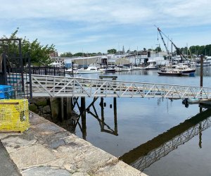 A wide view of the harbor at the marine education center