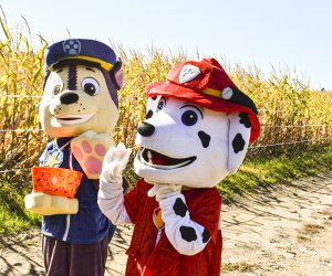 Special weekends include characters in costume! Photo courtesy of Marini Farm