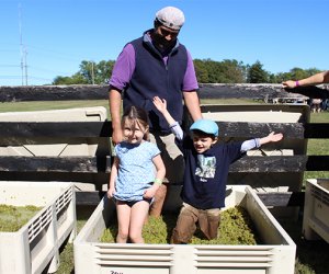 Family-Friendly Wineries on Long Island's East End: Kids stomping grapes at RGNY Vineyards