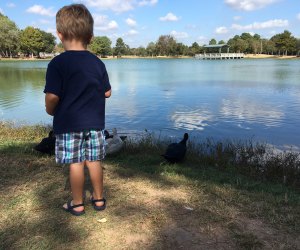 Feeding the ducks at Mary Jo Peckham Park