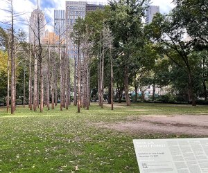 Ghost Forest is the latest photographable art installation at Madison Square Park
