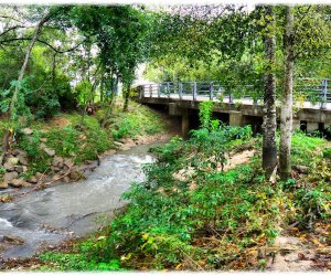 Mayde Creek Trail