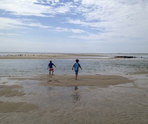 Image of kids tidal pool at Cape Cod beaches for families.
