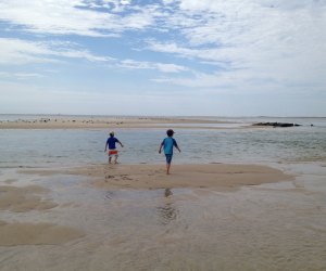 photo of a family on a beach, a Boston Father's Day thing to do.