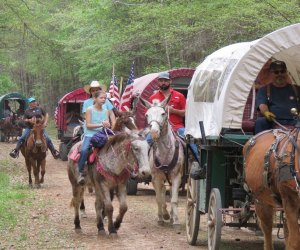 Montgomery County Fair | MommyPoppins - Things to do in Houston with Kids