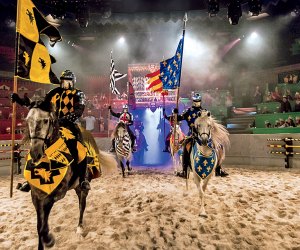 Cheer for your knight during a jousting match at Medieval Times in Lyndhurst. Photo courtesy of Medieval Times