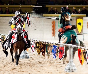 Cheer for your knight during the jousting matches. Photo courtesy of Medieval Times
