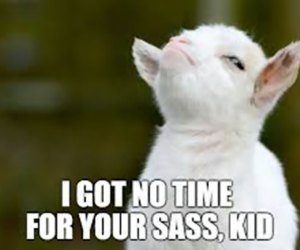 goat kid meme