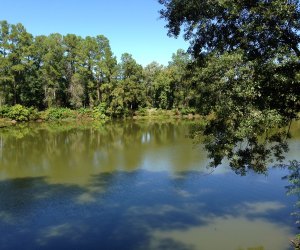 Fishing Lakes Near Houston and More Kid-Friendly Places To Go Fishing