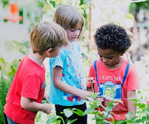 Explore nature at the Museum of Discovery and Science this weekend. Photo courtesy of ©Nature Explore, all rights reserved