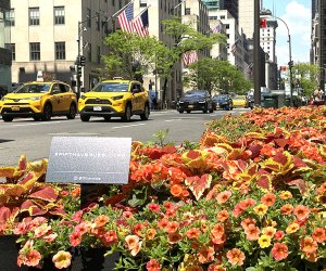 Fifth Avenue is lined with big-name shops, tourist attractions, and charming plantings and art installations in all seasons. 