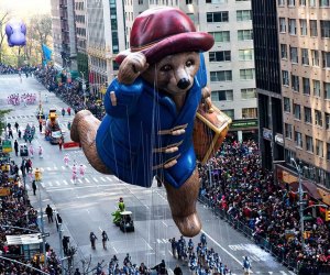 Aerial view of Paddington from a NYC hotel room during the Macy's Thanksgiving Day Parade