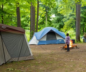 Mills-Norrie State Park is a family-friendly campsite near New York City