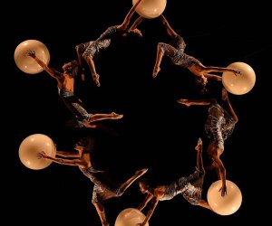 The Joyce Theater: MOMIX : Best Christmas and Holiday Shows in NYC : 