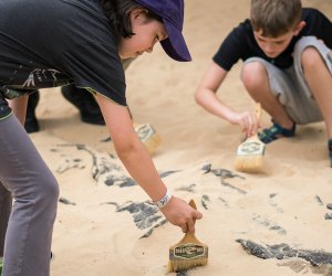 dino dig liberty science center