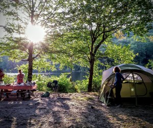 10+ Family Camping East Coast