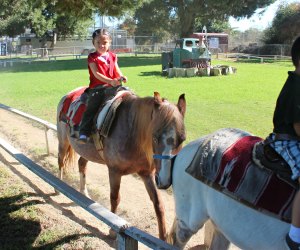 Things To Do With LA Kids Over Spring Break: Pony rides and petting zoos are always a thrill