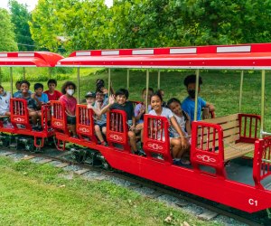 DC Parks and Playgrounds for Kids' Birthday Parties: Cabin John Regional Park
