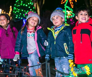 See a dazzling Christmas light display at the Garden of Lights at Brookside Gardens. Photo courtesy of Montgomery Parks