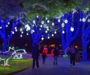 30 Things To Do With Houston Kids Over Christmas Break | MommyPoppins ...