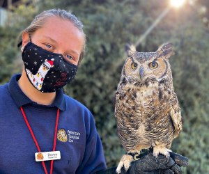 See what this wise guy is up to this spring. Photo courtesy of Moorpark College Teaching Zoo