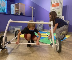 Building a vehicle at the Morris Museum's Spark!Lab
