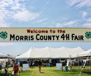 Morris County 4-H Fair
