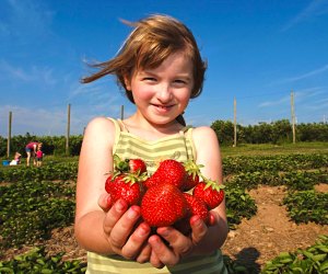 Wrap your hands around some tasty fun at these summer fairs and festivals! Photo courtesy of Lyman Orchards